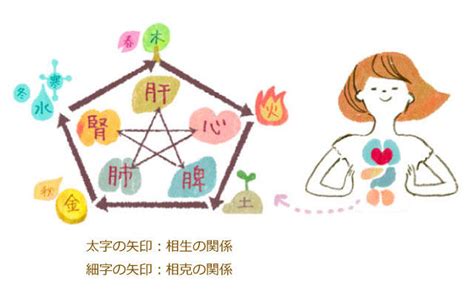 五行 皮膚|めざせ！「五行美人」～五行のタイプ別ケア～